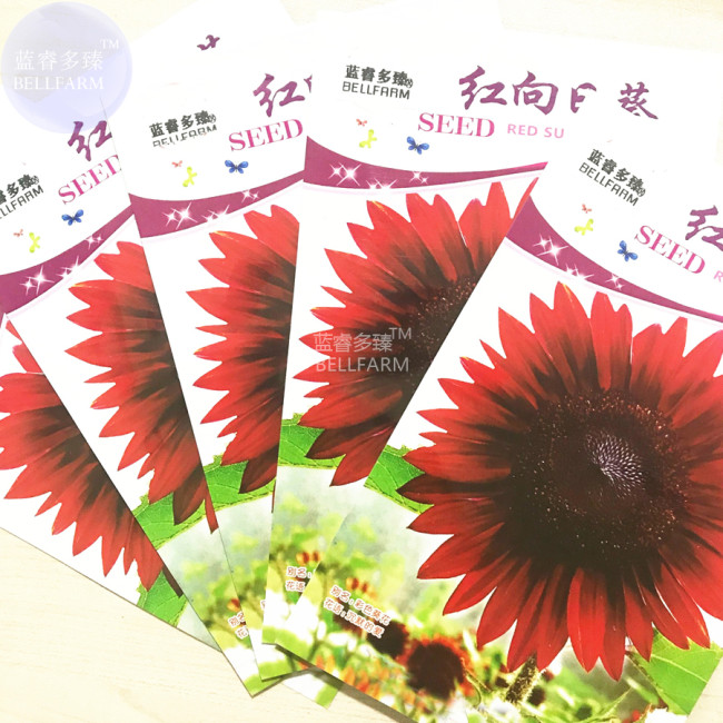 Sunflower Red Fire red-to-black Ornamental Flower Seeds