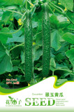 Combos Cucumbers Seeds, Mixed 9 Packs organic green vegetables home garden fruits