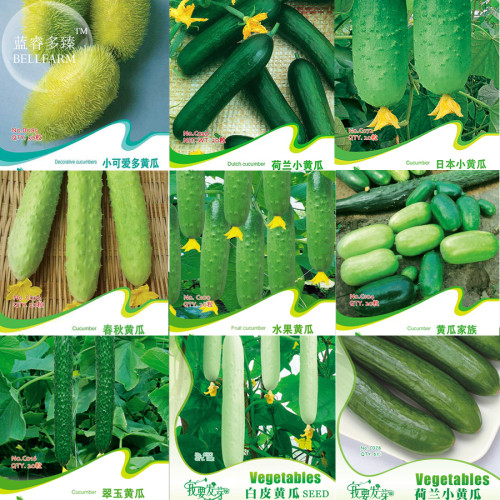 Combos Cucumbers Seeds, Mixed 9 Packs organic green vegetables home garden fruits