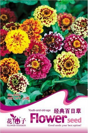 Mix Youth-And-Old-Age Zinnia Elegans Flower Seeds