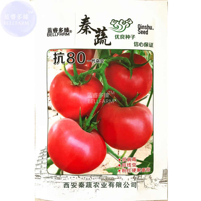 (for greenhouse) Red Big Tomato Hybrid F1 Seeds