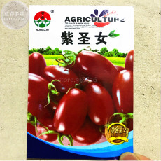 'Purple Shengnv' Indeterminate Tomato Organic Seeds