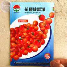 'Colorful Cherry' Indeterminate Tomato Organic Seeds