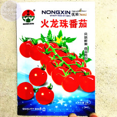 'Fire Red' Round Cherry Tomato Organic Seeds