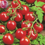 Husky Cherry Red Tomato Seeds