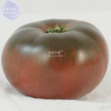Rainbow / Black Elephant Tomato Seeds
