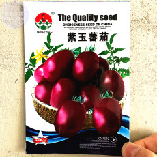'Purple Yuh' Cherry Tomato Organic Seeds