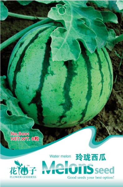 Extremely Early Maturity Green Skin Red Inside Small Gift Watermelon Seeds