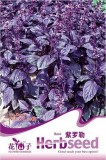 Dark Opal Basil Purple Basilicum Herb Organic Seeds