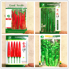 Jintai Red Line Pepper (green line, jinjiao 1.0 F1, pig intestines pepper), 1000 Seeds, heirloom super fine seeds E4201