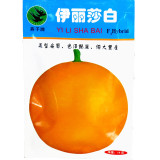 Heirloom Super Big Elizabeth Orange Yellow Sweet Melon Hybrid F1 Seeds, Original Pack, 10 grams Seeds, edible muskmelon SM002Y
