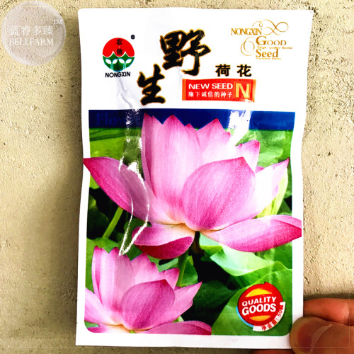 BELLFARM 5 Pink Wild Lotus Big Blooms Seeds, Original Pack, flower diameter up to 20cm BD041H