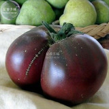 BELLFARM Bonsai Tomato Giant 36 Types of Vegetable Fruits, 100 seeds/pack, professional pack, black white blue purple red pink