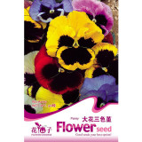 Mix Giant Pansy Seeds VIOLA WITTROCKIANA Long Blooming Flowers