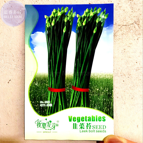 1 Original Pack, 50 seeds / pack, Fresh Garlic Chives Seeds Allium Tuberosum Chinese Chives, Chinese Leek #NF133