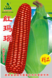 1 Original Pack, 100g Seeds / Pack, Red Glutinous Maize Seeds, Heirloom NON-gmo Tasty Corn Seeds