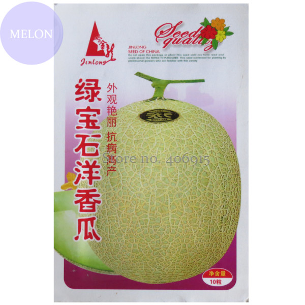 Heirloom Green White Sweet Melon with overlapping curve gray skin, Original Pack, 10 Seeds, sweet sugar 17% contained Other409