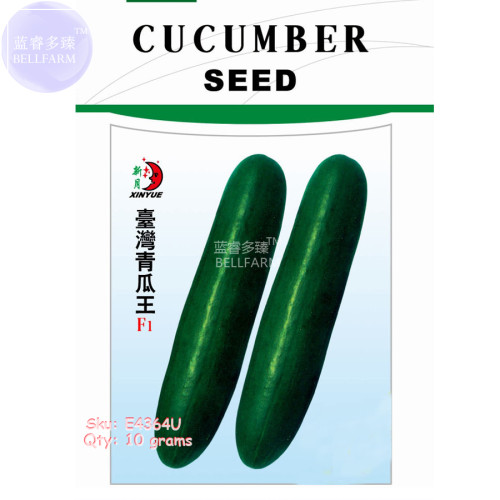 BELLFARM Cucumber Dark Green few Barbed Slippy Vegetable Seeds, 10 grams, original pack, heat resistant disease-resistant