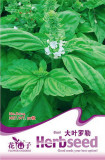 Heirloom Organic Large Leaf Sweet Basil Seeds, Original Pack, 50 Seeds / Pack, Fragrant Saint Joseph's Wort Ocimum Basilicum