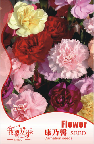 1 Original Pack, 40 seeds / pack, Mix Carnation Flower Seeds Dianthus Caryophyllus #NF253