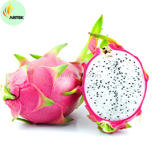 Hainan White Dragon Fruit Hybrid Seeds, Professional Pack, 100 Seeds / Sweet, Tasty Sweet Fruit E3492