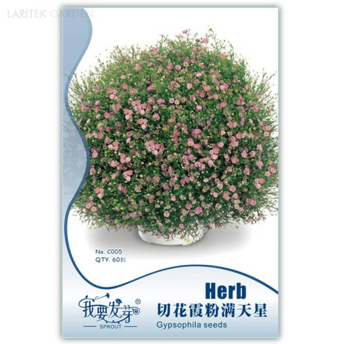 Heirloom Pink Gypsophila Baby's-breath Cut Flowers, Original Pack, 60 Seeds, fragrant bonsai flowers IWSC005