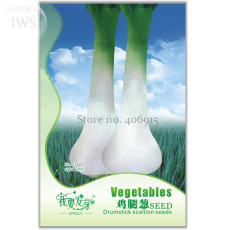 Heirloom Green Drumstick Scallion Seeds, Original Pack, 30 seeds, organic green vegetable IWSC160