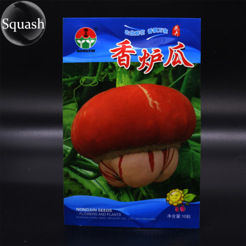 Heirloom Cucurbita maxima 'Incense burner' Squash Ornamental Fruit Seeds, Original Pack, 10 Seeds