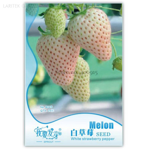 Rare White Strawberry, Original Pack, 25 Seeds, tasty sweet juicy nutritious fruits IWSB065