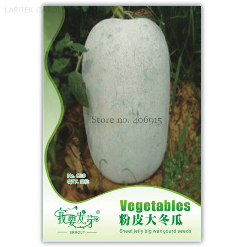 Heirloom White Wax Gourd Vegetables, Original Pack, 12 Seeds, edible organic Chinese fatmelon IWSC110