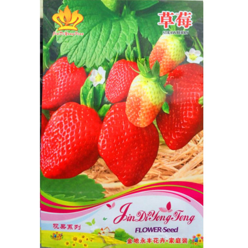 Rare Heirloom Organic Oblate Red Big Sweet Strawberry Seeds, Original Pack, 40 Seeds / Pack, Tasty Delicious Fruit #NF734