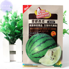 White Watermelon Green Dark Green Skin White Inside Water Melon, 10grams 'seeds'/original pack, 12% sugar contained