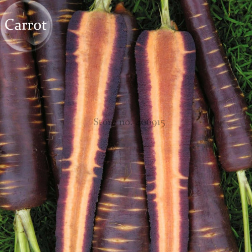 Afghan Purple Carrot Superfood Amazing Colour High Yielding Vegetables, 100 seeds, organic E3950