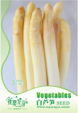 Rare White Asparagus Organic Chinese Vegetable Seeds, Original Pack, 20 Seeds / Pack E3286