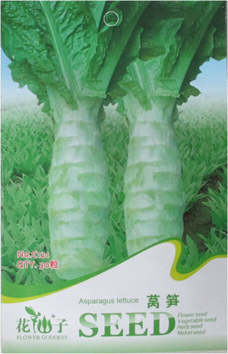 Chinese Green Asparagus Lettuce Seeds, Original Pack, 30 Seeds / Pack, Organic Chinese Vegetables #C121