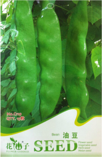 Chinese Bean Seeds Contains Rich Oil Green Chinese Vegetables Seeds, Original Pack, 15 seeds / pack #C119