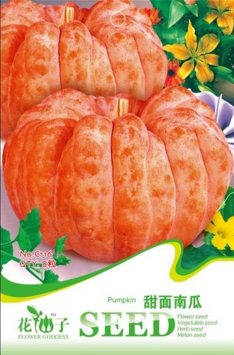 Sweet Baby Pumpkin Seeds, Original Pack, 8 seeds / pack, Autumn Fall Pumpkin Organic Vegetables #C116