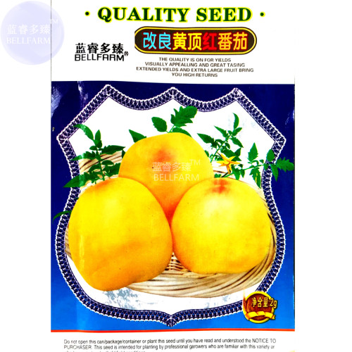 BELLFARM Tomato Yellow Skin Red Top Middle-sized Fruit Seeds, 200 seeds, original pack, hybrid edible sweet vegetables
