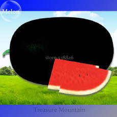 Hot Sale High Yield Of 6000kg/667m2 Hybrid Black Skin Oval Shape Watermelon seeds, 10 Seeds, Simple pack, TS203T