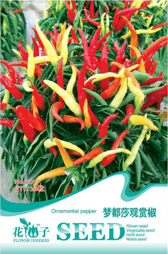 Capsicum F1 Medusa Ornamental Pepper Seeds, Original Pack, 20 Seeds / Pack, Sweet Chili Pepper Bright Colors #B077