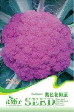 Heirloom Purple Sicily Cauliflower Organic Vegetable Seeds, Original Pack, 20 Seeds / Pack, Broccoli Seeds C065