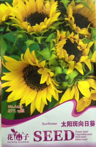 Heirloom Yellow Black Clusters of Middle Sunflower Seeds, Original Pack, 15 Seeds / Pack, Ornamenatal Bonsai Flowers #A279