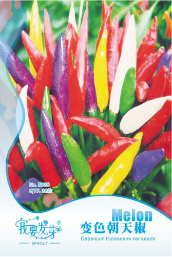 Heirloom Allochroic Pod Pepper Seeds, Original Pack, 20 Seeds / Pack, Red White Green Purple Yellow Cluster Pepper #NF866