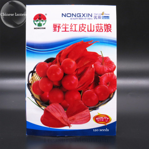 Rare Physalis alkekengi Red Chinese Lantern Bladder Cherry Middle Fruit Seeds, Original Pack, 120 Seeds, winter cherry
