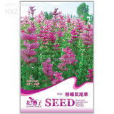 Pink Butterfly Sage Flowers seeds, Original Package, 50 seeds, strong aroma ornamental flowers aromatic A158