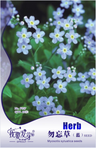 1 Original Pack, 60 seeds / pack, Myosotis Sylvatica Blue Forget Me Not Perennial Plants #NF250