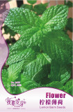 1 Original Pack, 40 seeds / pack, Fresh Lemon Mint Herbs Balm Heirloom Seeds #NF141