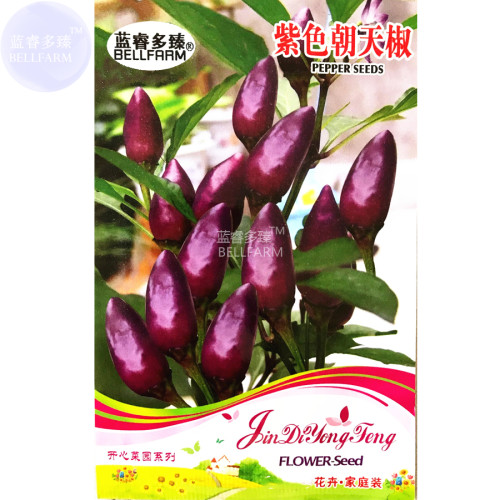 BELLFARM Purple Pod Peper Heirloom Violet Cluster Chilli Seeds, 30 seeds, original pack, hot edible organic vegetables