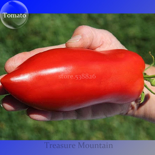 Rare Russian Giant Pertsevidnyy-Pepper Red Long Tomato Seeds, 100pcs/pack
