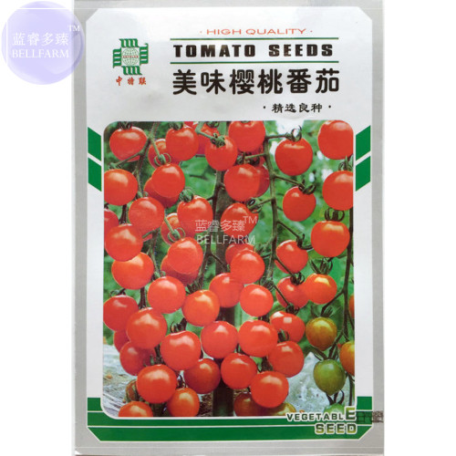 BELLFARM Red Sun Sugar Tasty Cherry Tomato Seeds, 40 seeds, original pack, optimized organic mini vegetable fruits